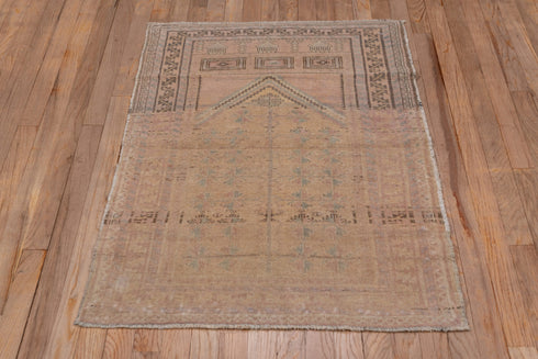 Antique Anatol Area Rug (2' x 4')